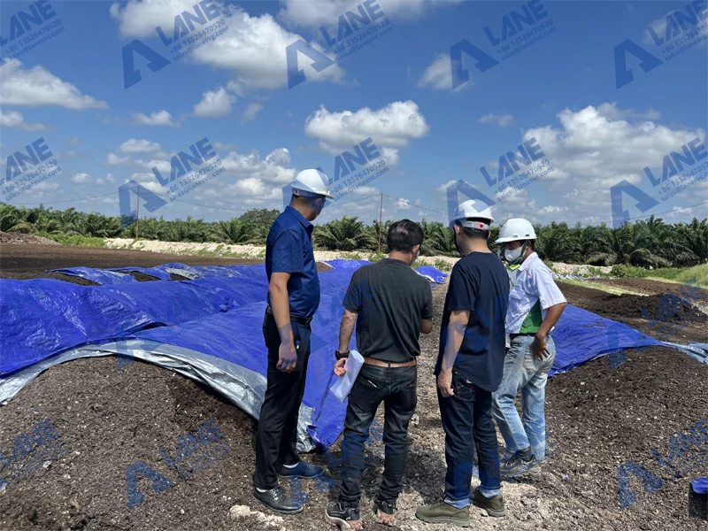 Desafios de Mercado e Soluções em Equipamentos para uma Linha de Produção de Fertilizantes Orgânicos em Angola