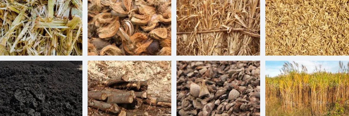 linha de produção de fertilizantes orgânicos no Brasil