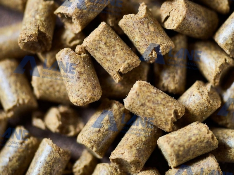 Guia Completo: Como escolher a melhor máquina granuladora de ração para sua produção