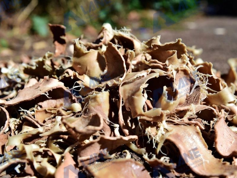 Como usar resíduos industriais para produzir fertilizante orgânico: guia completo do início ao fim