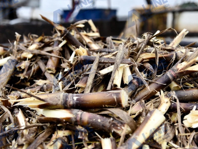 Equipamento de granulação de bagaço de cana: Transformando resíduos em lucro verde